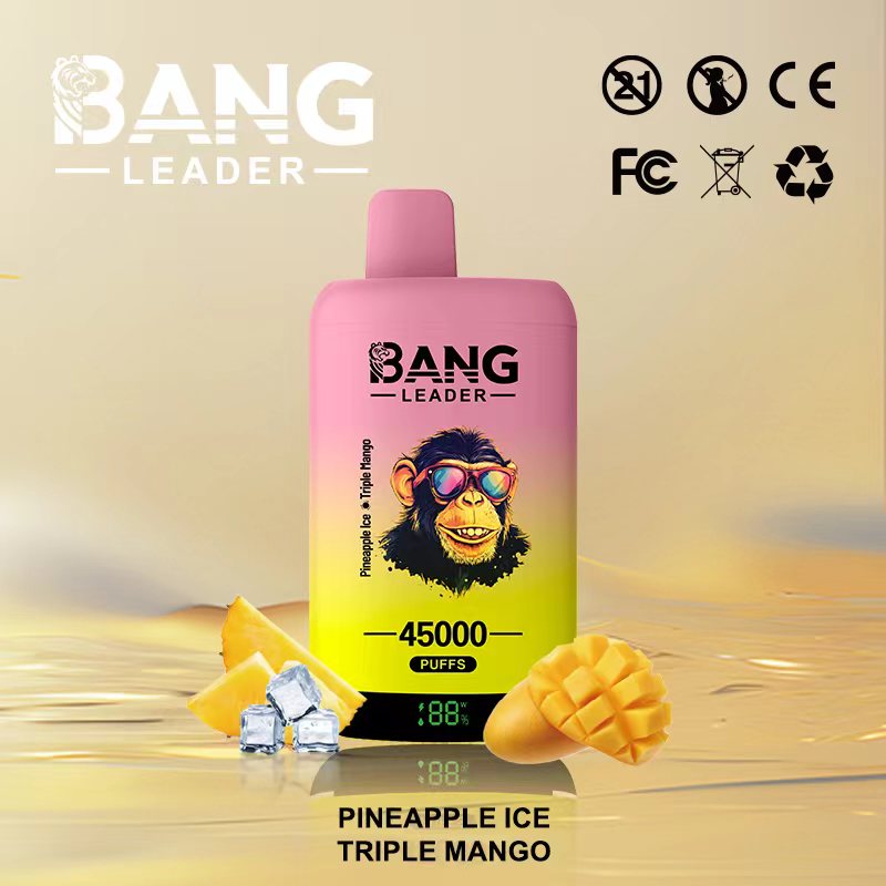Bang Leader 45K Puffs 2-in-1 Prefilled Vape | Dual Flavor,  Rechargeable