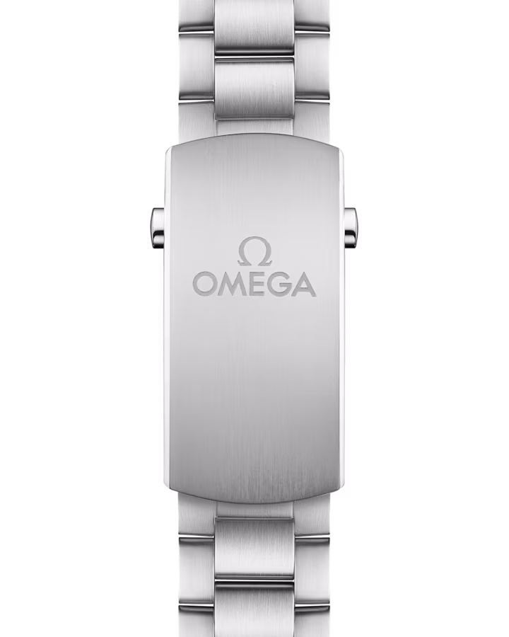 Omega Seamaster Planet Ocean 600M 43.5mm Black Dial Stainless Steel Bracelet 215.30.44.22.01.001