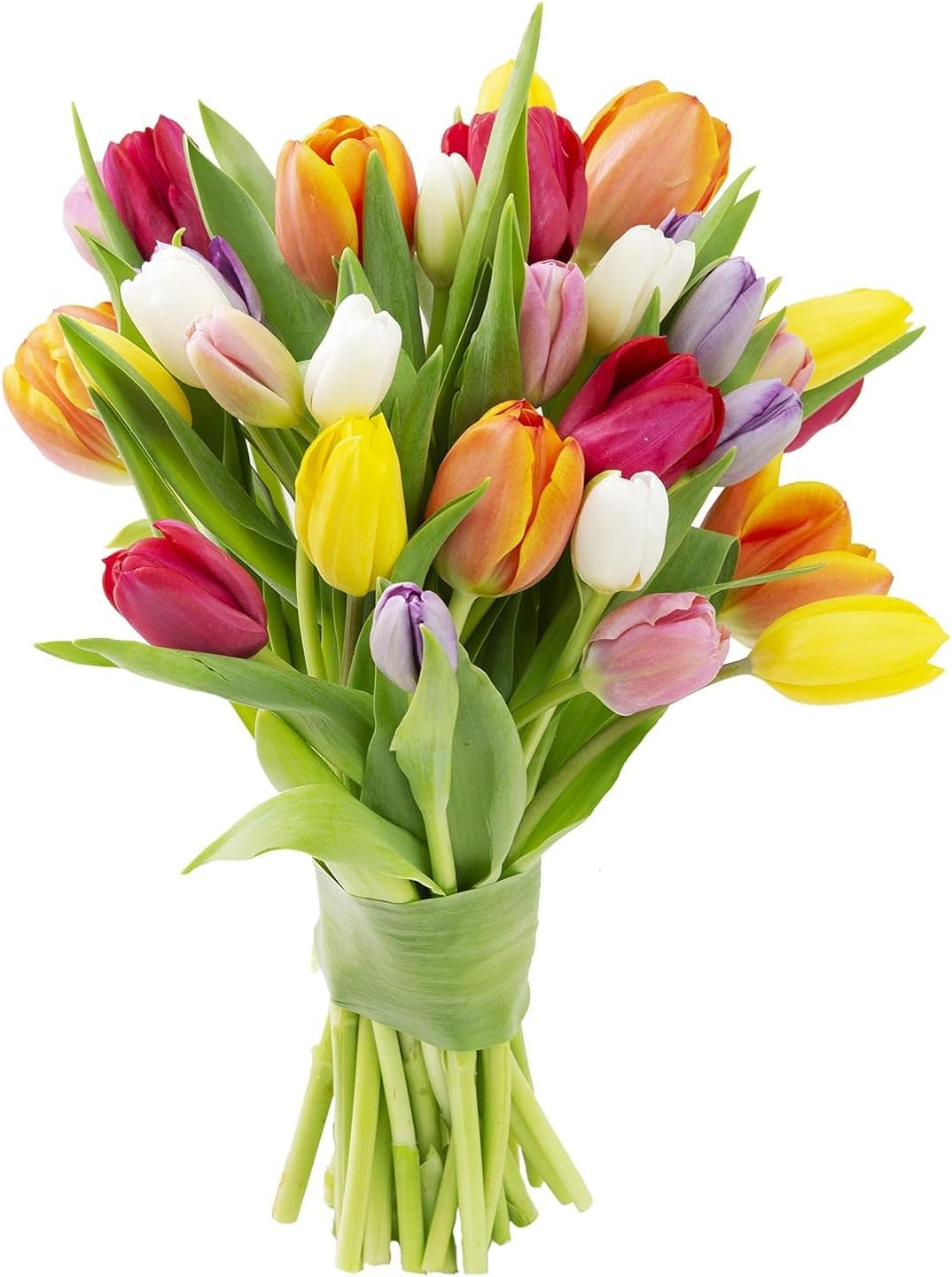 KaBloom - 30 Assorted Tulips Without Vase - Fresh Flowers for Birthday, Valentine's & Mother's Day