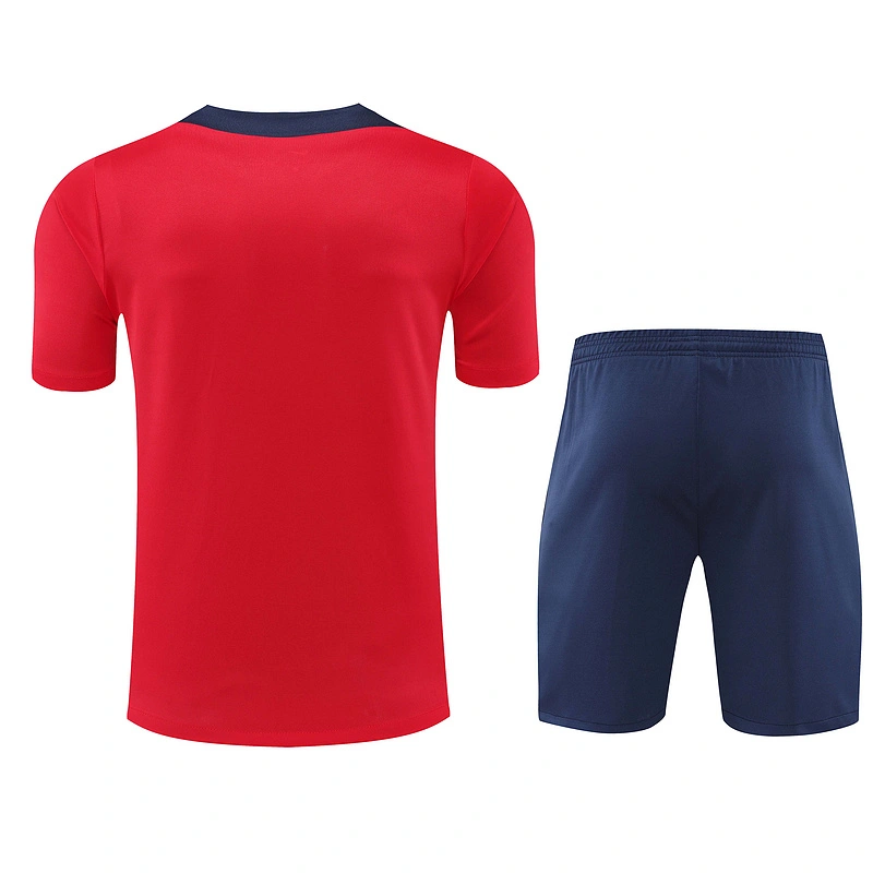 2024-25 Atletico Madrid Short-sleeved training clothese