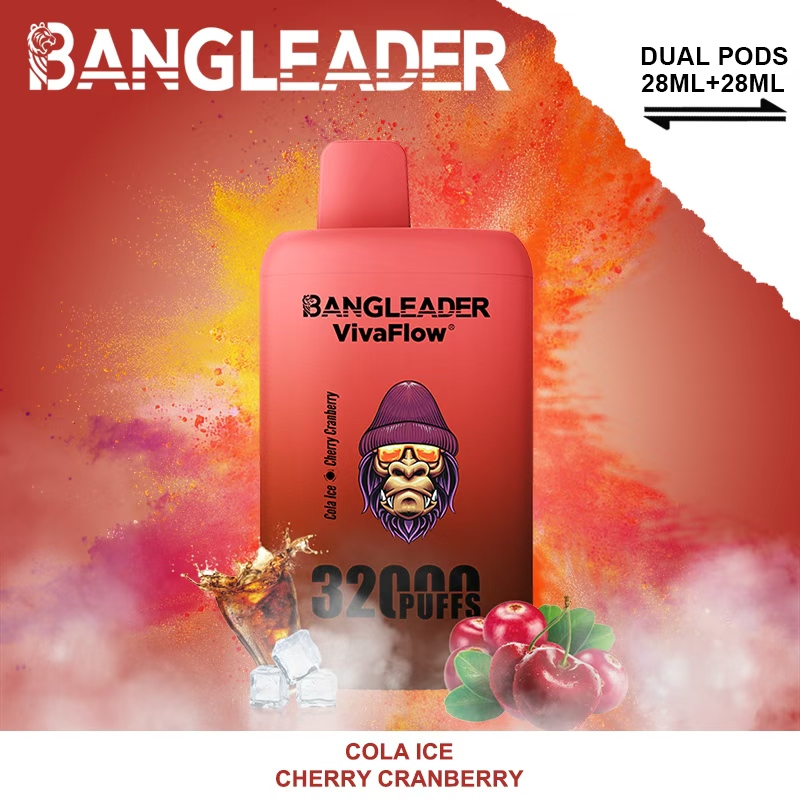 [Minimum order of 3]Bang Leader 32K Puffs 2-in-1 Prefilled Vape | Dual Flavor,  Rechargeable
