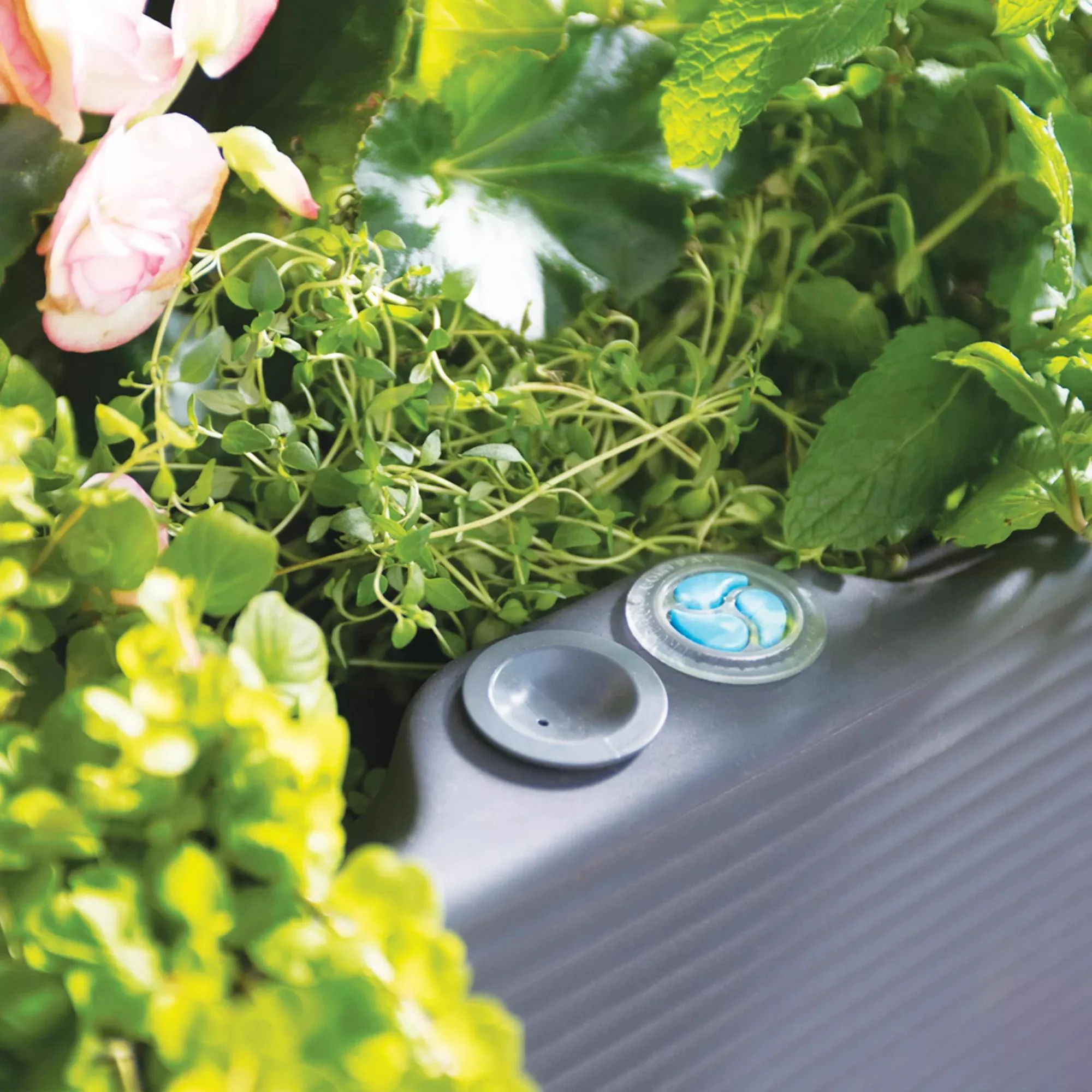 Nest Elevated Planters