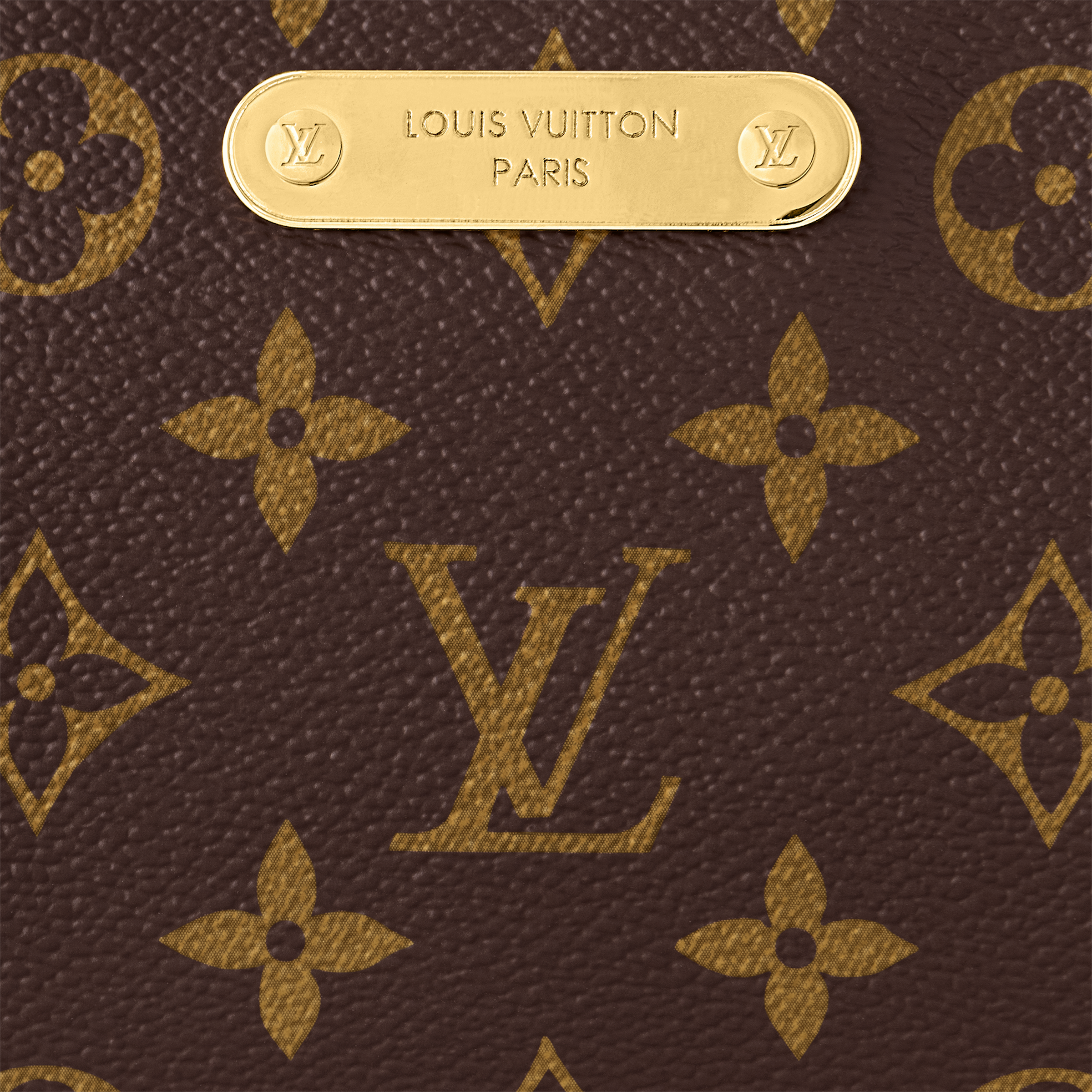 Louis Vuitton Liv Pochette Monogram Canvas Handbags M83008 24.5cm/ 9.6in
