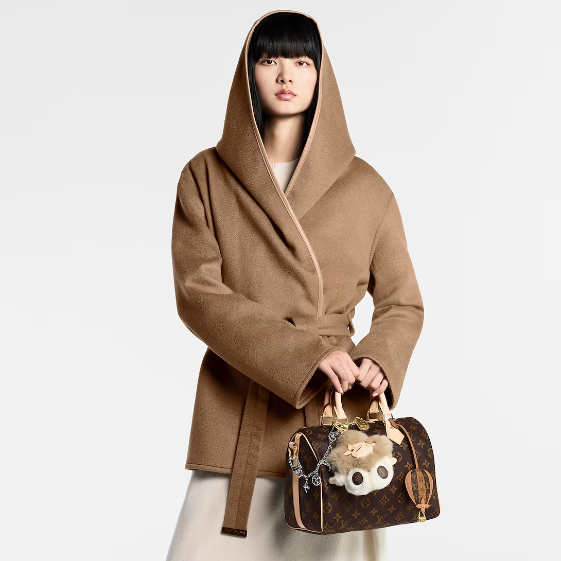 Louis Vuitton Speedy Bandouliere 25 Monogram Canvas 25cm