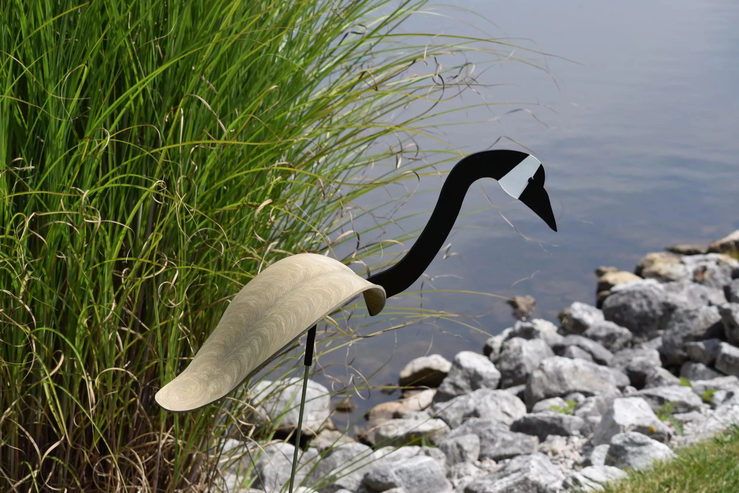 Florida Dancing Birds®, Canada Goose