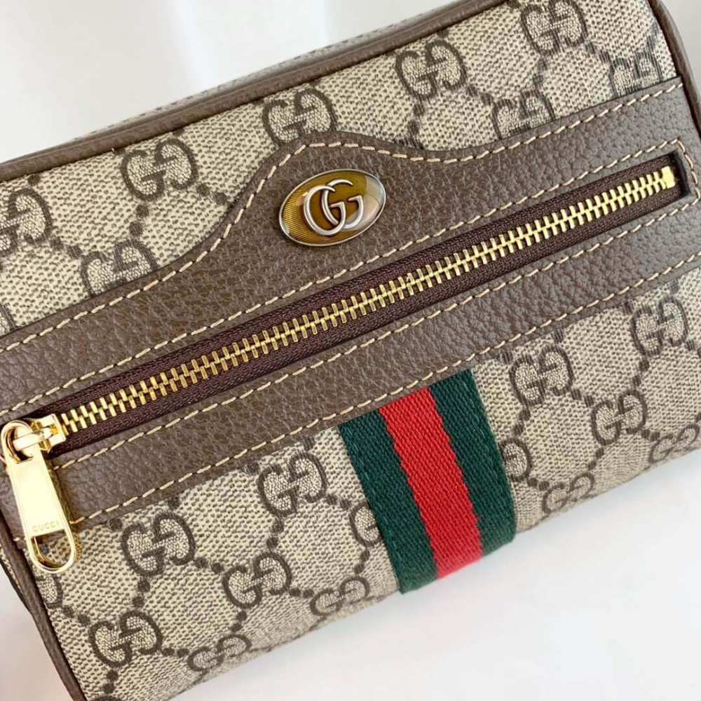 Gucci Ophidia GG Supreme Mini Bag