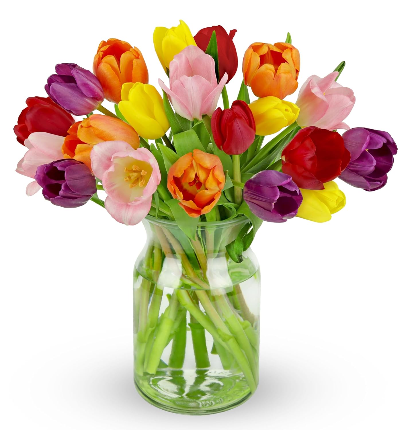 Benchmark Bouquets - Rainbow Tulips - Fresh Flowers for Delivery - Easter Flowers - Birthday Flowers for Women - Birthday Flower Bouquet - Congratulations Gift - Glass Vase Included (20 Stems)