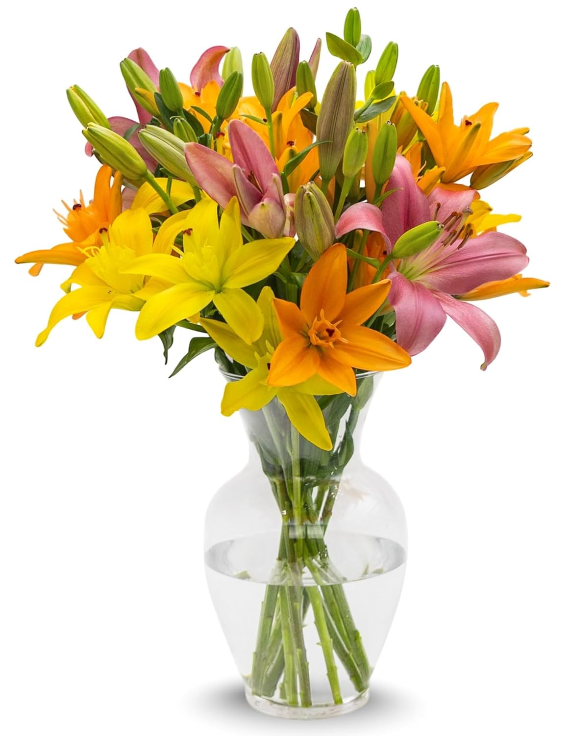 STARGAZER BARN 10 Stem Sunrise Royal Lily Bouquet (Vase Not Included) - Hand-Tied in the USA - Fresh Flower Delivery for Birthday, Anniversary, Sympathy, Home Decor, Wedding, Easter