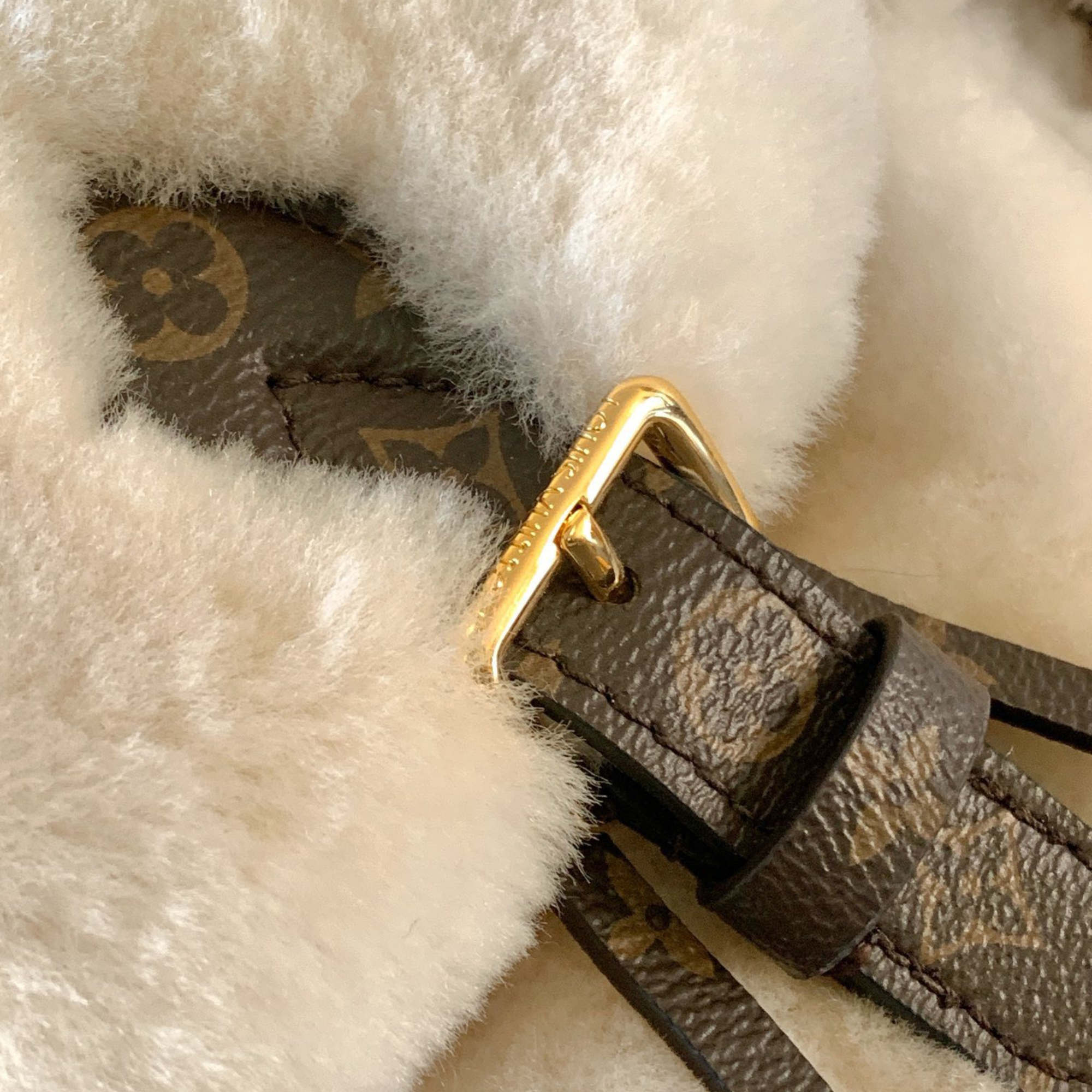 Louis Vuitton Nano Teddy Backpack