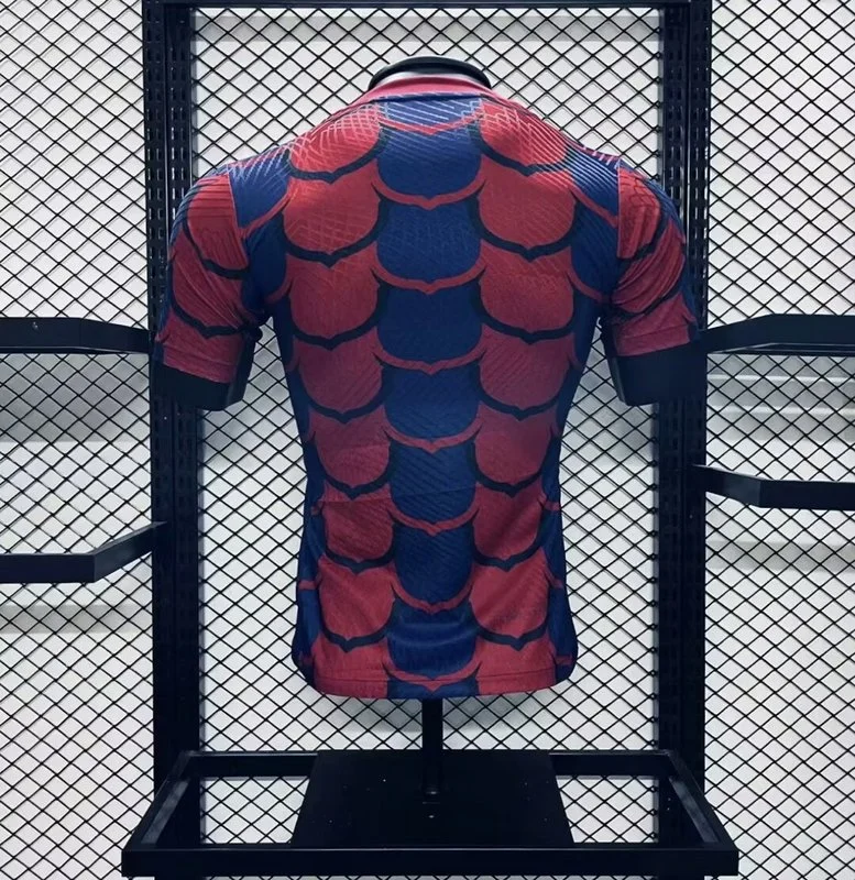 Player Version 2024-25 Barcelona Special Edition Football jersey