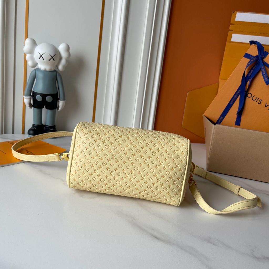 Louis Vuitton Speedy Bandoulière 20 Bag M29494