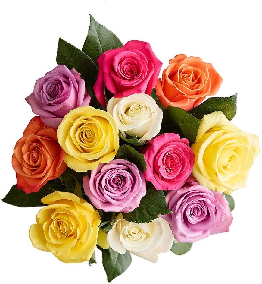 1800 Flowers – 12 Stem Assorted Bright Roses (Bouquet Only) | Fresh Cut Spring Flowers for Delivery | Gift for Easter, Anniversary, Sympathy, and Special Occasions