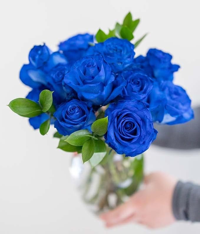 From You Flowers - One Dozen Blue Roses with Glass Vase | Fresh Flower Bouquets for Birthday, Anniversary, Get Well or Celebration