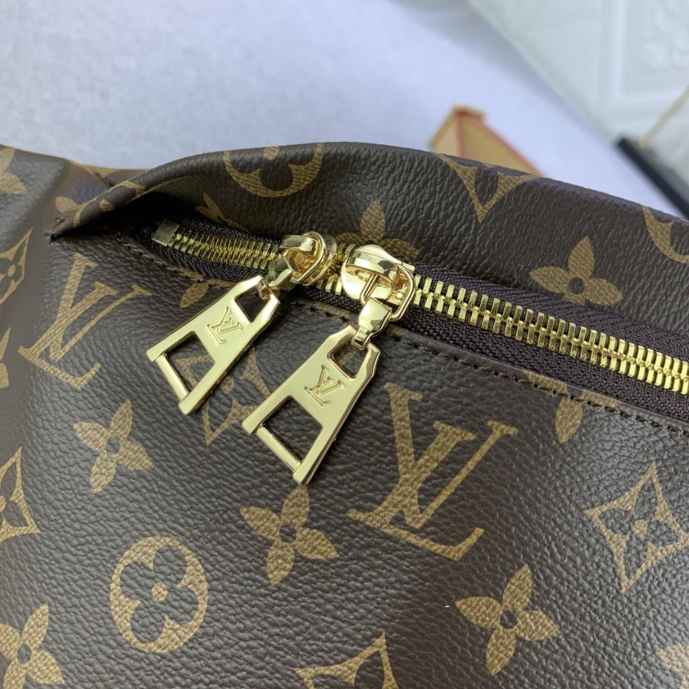 Louis Vuitton Bumbag Monogram Canvas Brown 37cm M43644