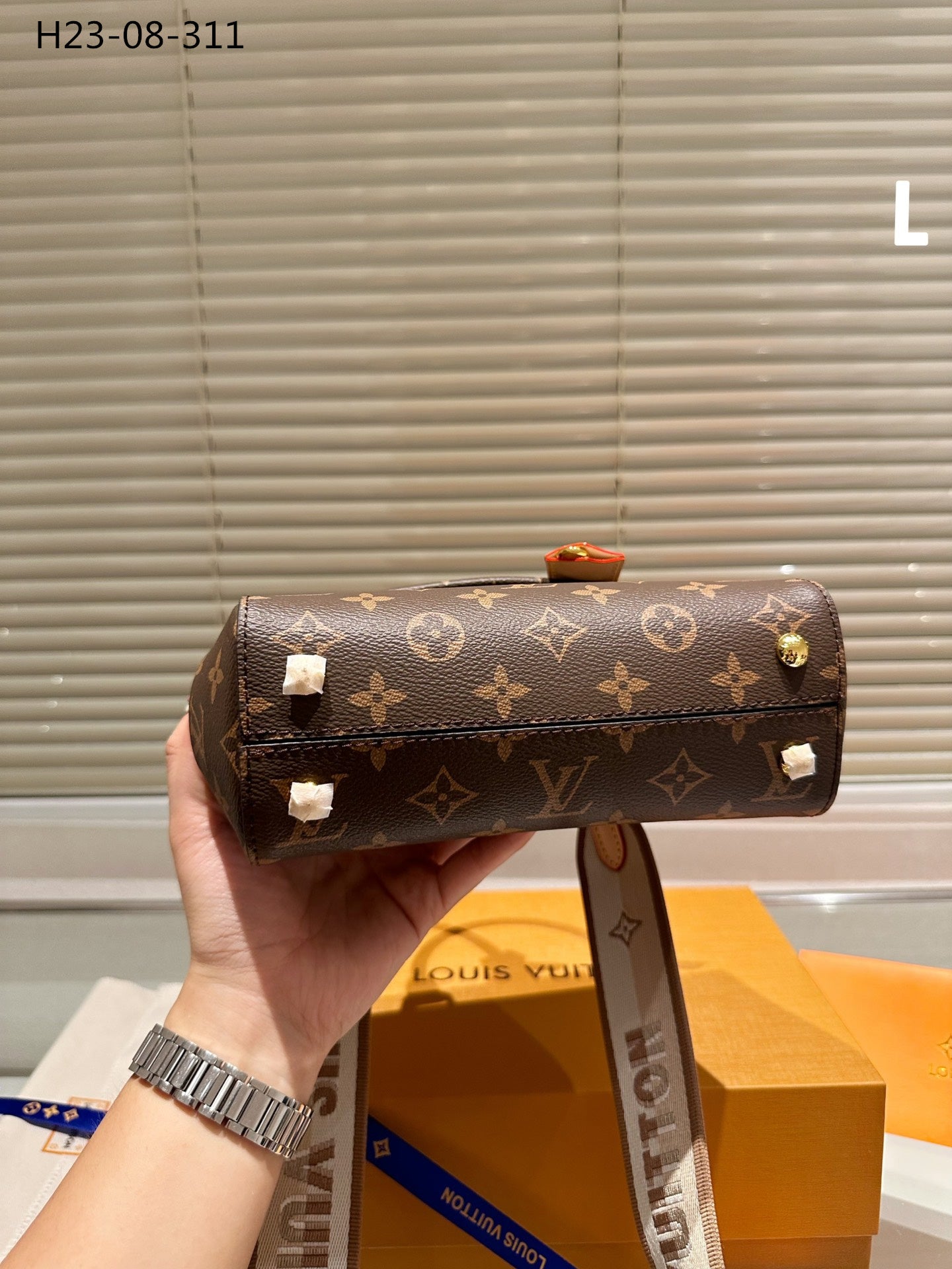 Louis Vuitton Cluny Mini Monogram Canvas 20Cm M46055