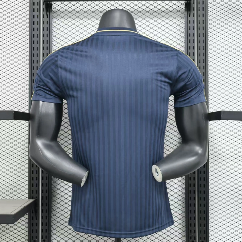 Player 2025-26 Juventus Terrace Icons Football jersey