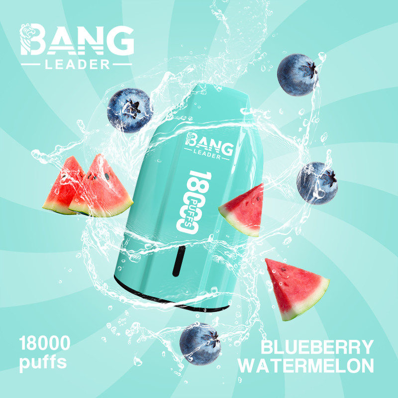Bang Leader 18K Puffs Prefilled Vape |  Rechargeable