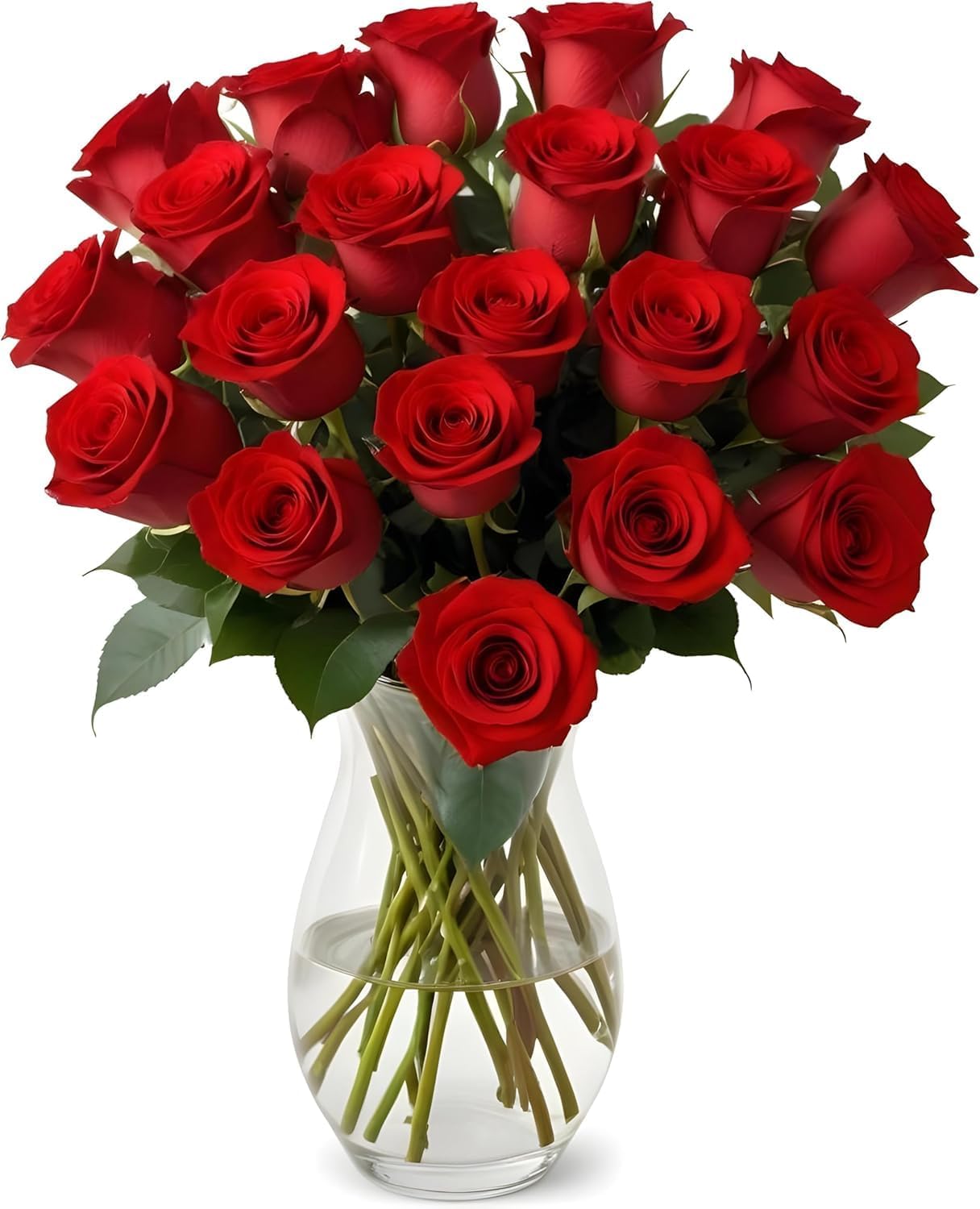 18 Red Roses in Glass Vase | Arabella Bouquets | Real Fresh Flowers for Delivery, Gift for Birthday, Congratulations, Anniversary, Valentine's Day