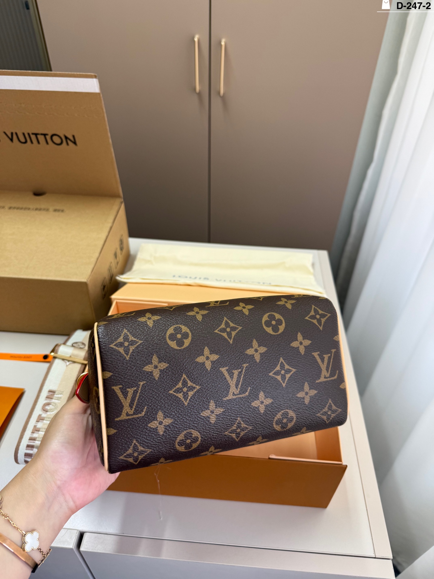 LV Speedy Bandoulière 20 枕头包