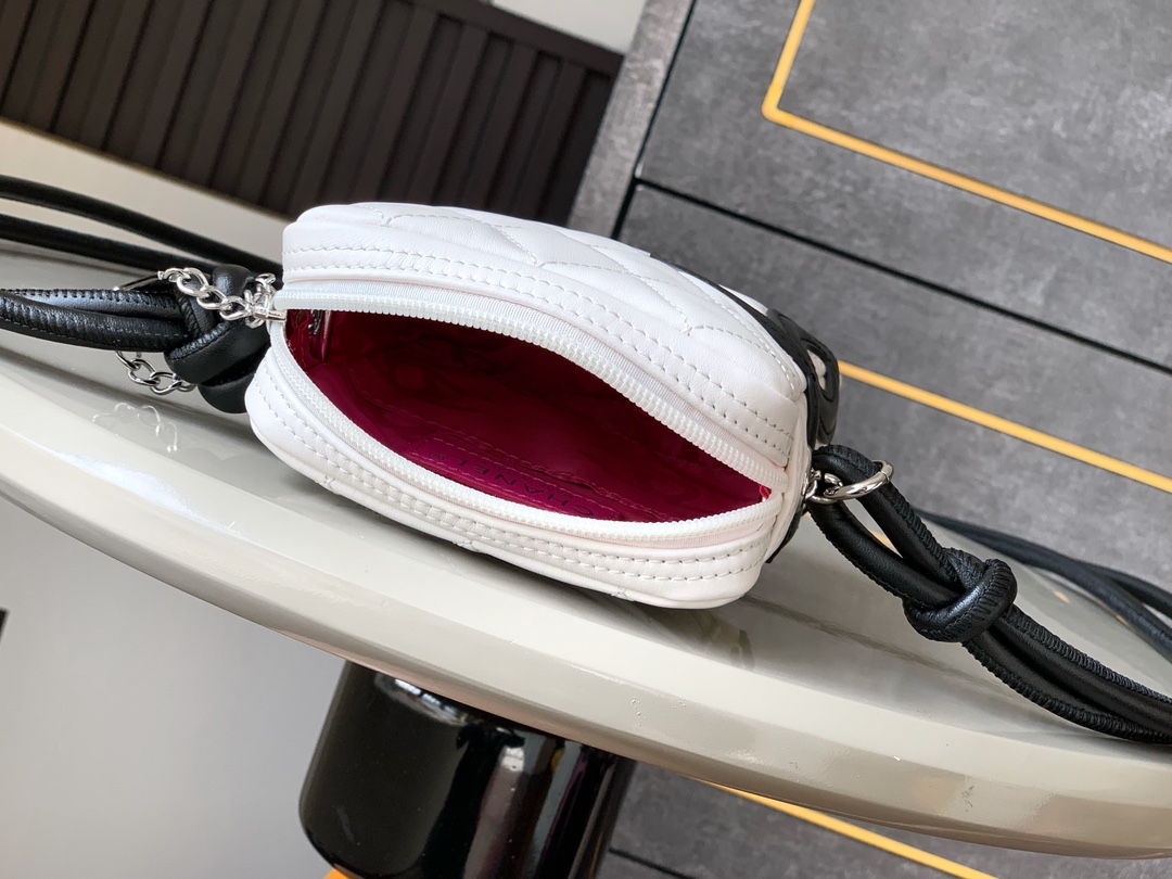 chanel Cambon mini camera bag