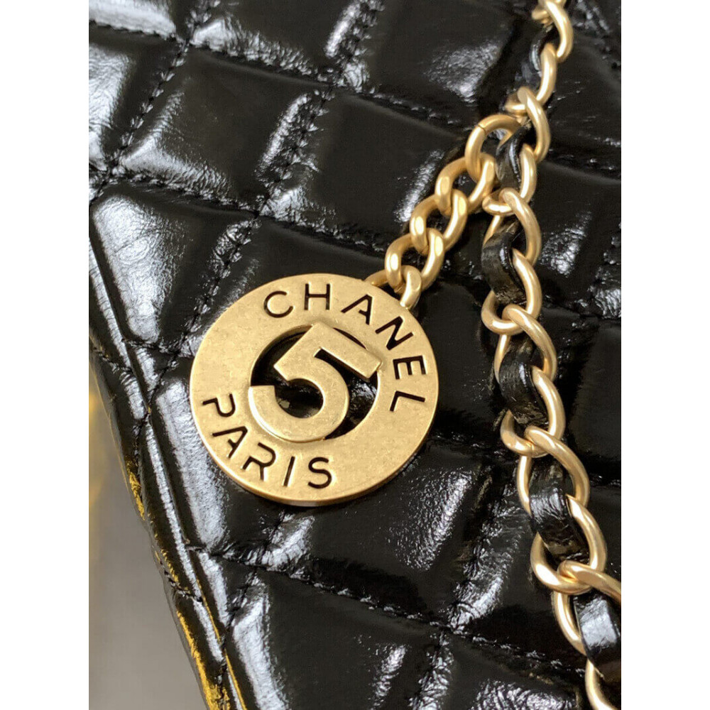 Chanel Small Hobo Bag in Shiny Crumpled Calfskin 19cm/7.5in