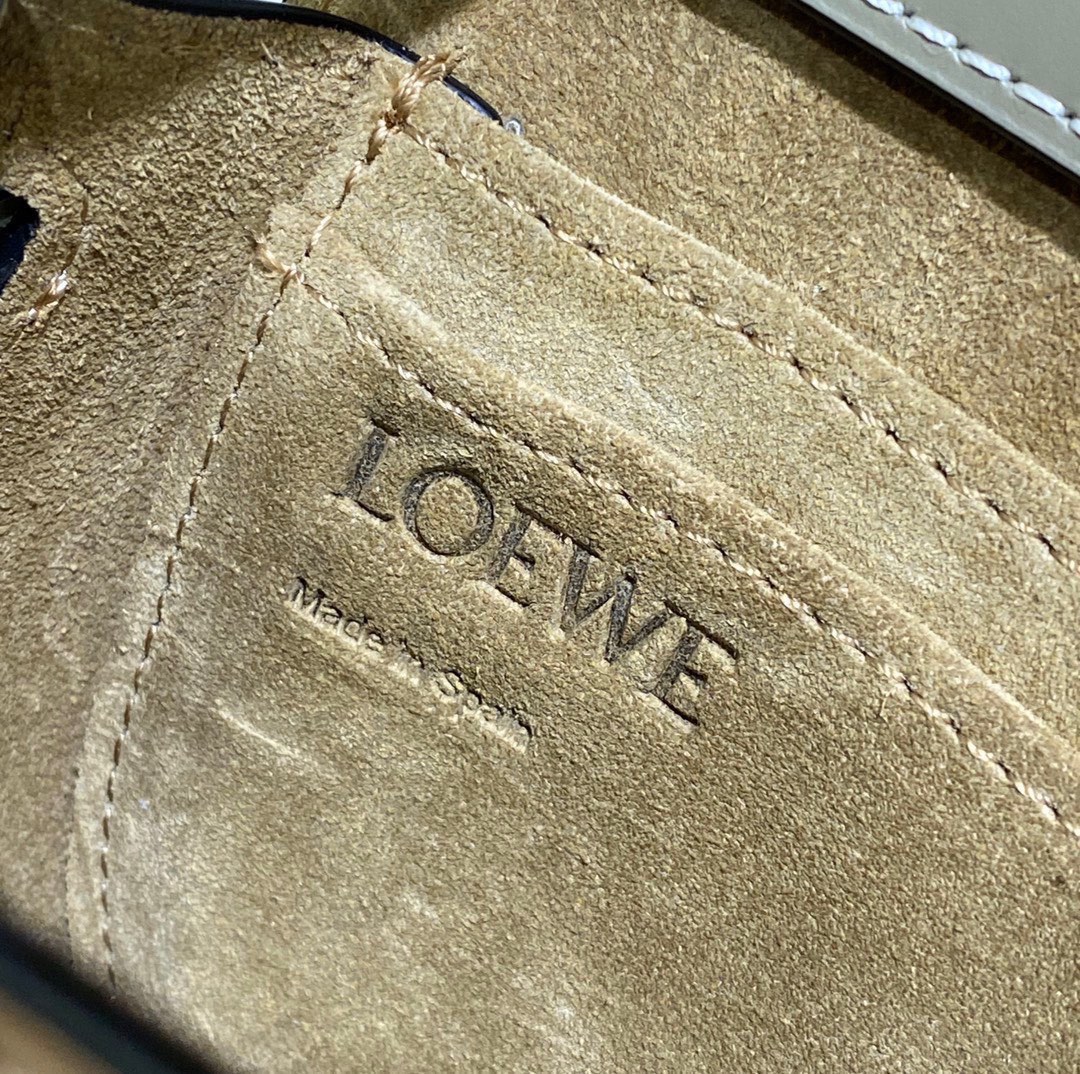 Loewe Gate Dual Mini Bag
