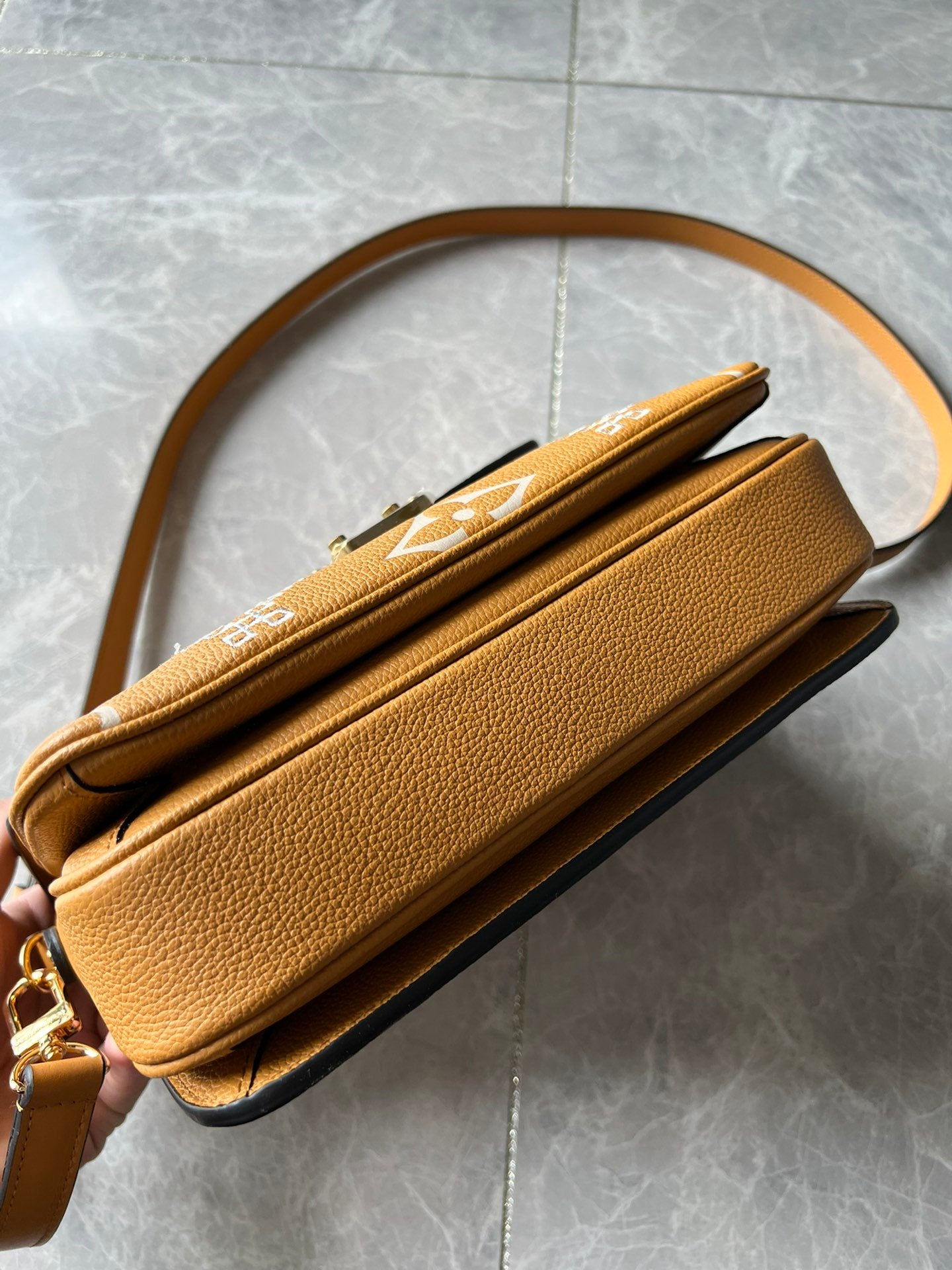 Louis Vuitton Pochette M Tis 25Cm Brown Bag