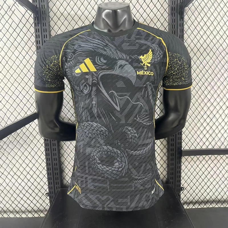 Player 2025-26 Mexico Special Edition Football jersey