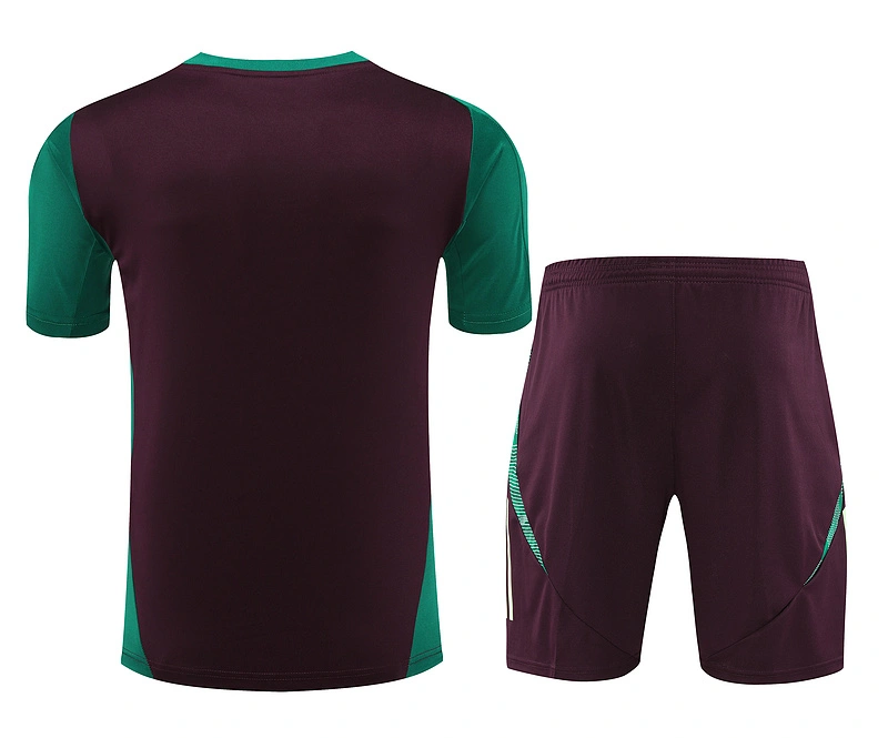 2024-25 Mexico Short-sleeved training clothese