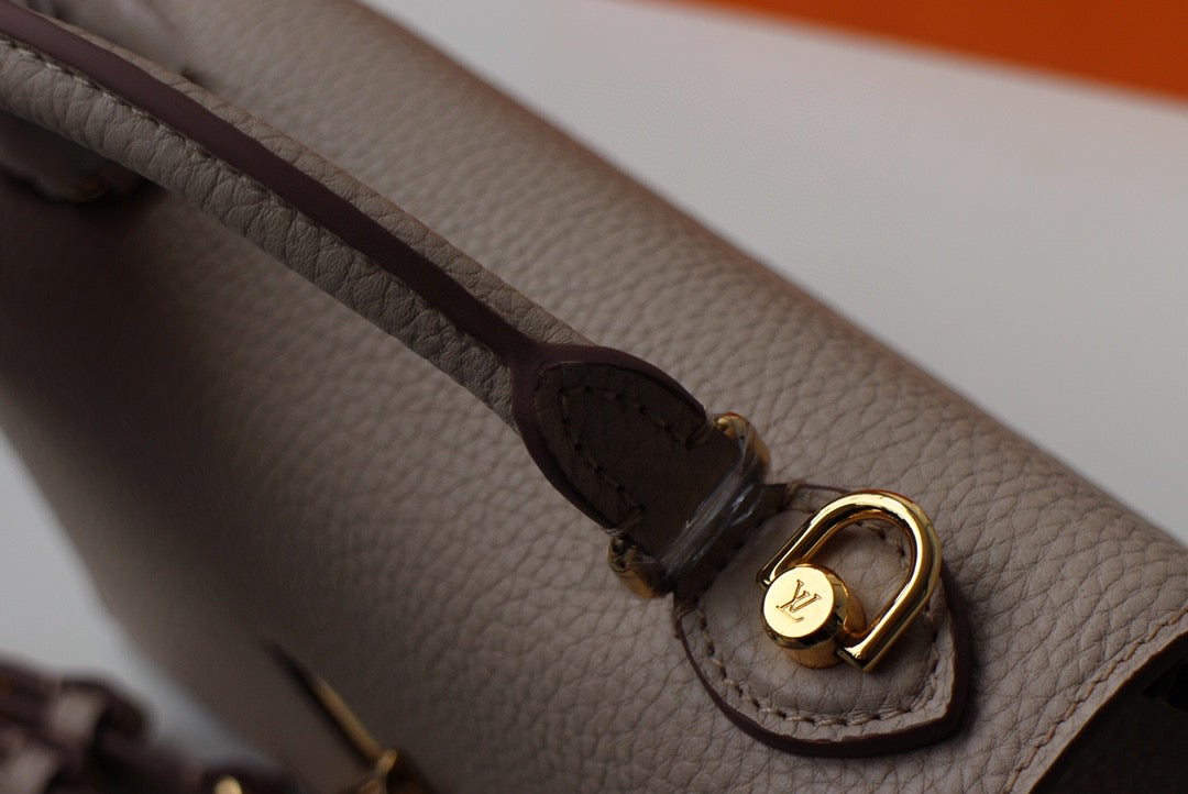 Louis Vuitton Twist One Handle Pm 25Cm Greige