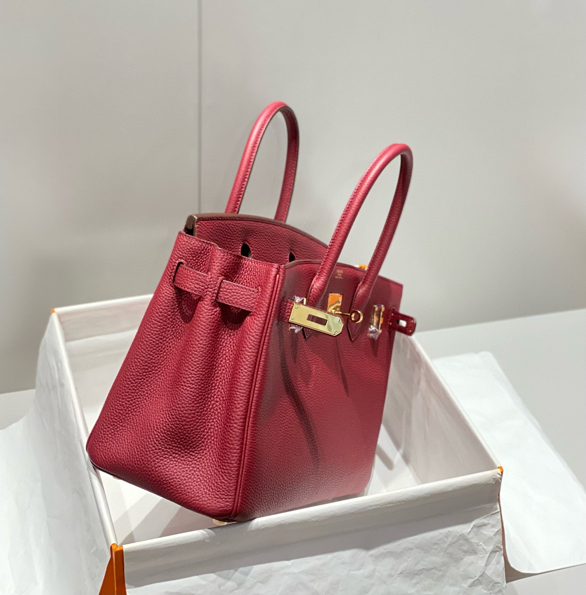 Hermes Birkin 25Cm Rouge H Togo Leather Gold Hardware