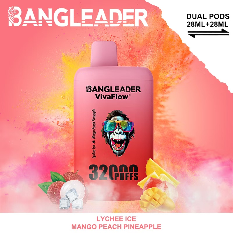 [Minimum order of 3]Bang Leader 32K Puffs 2-in-1 Prefilled Vape | Dual Flavor,  Rechargeable