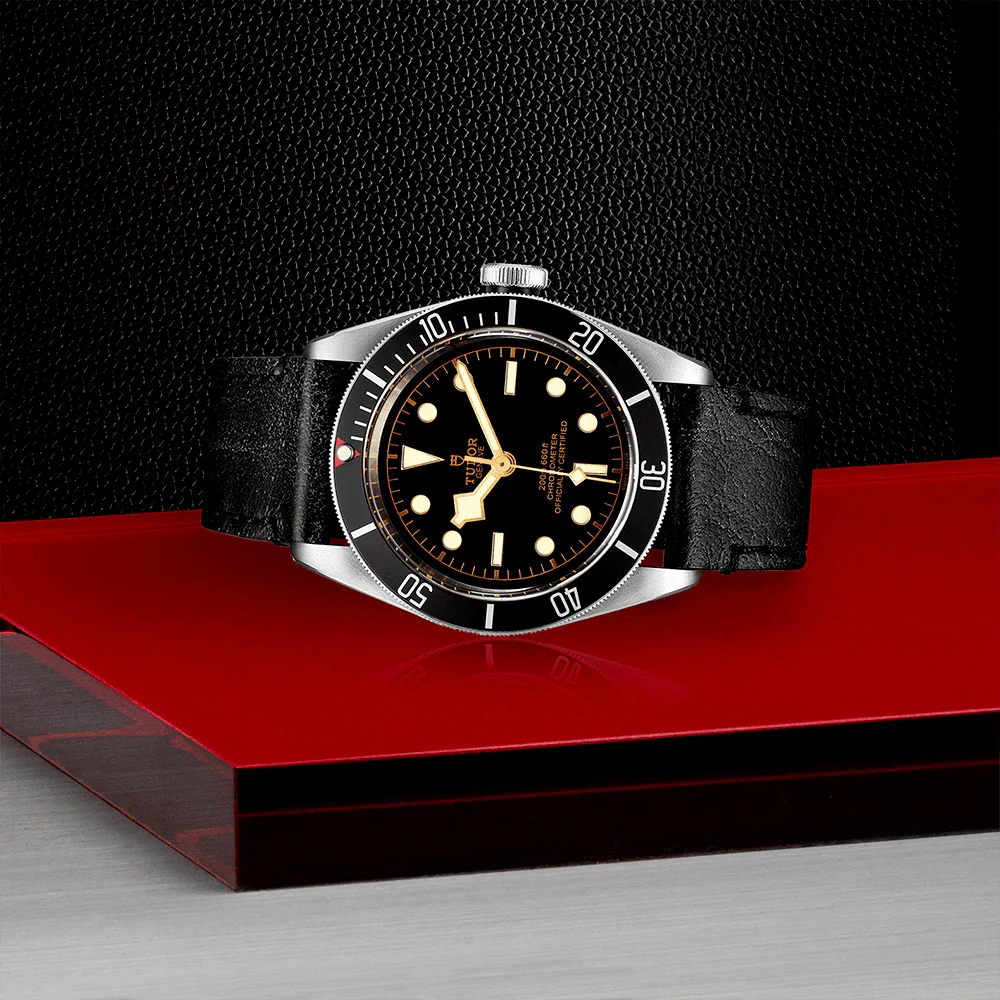 TUDOR Black Bay 41mm Black Dial & Bezel Men's Automatic Strap Watch M79230N-0008