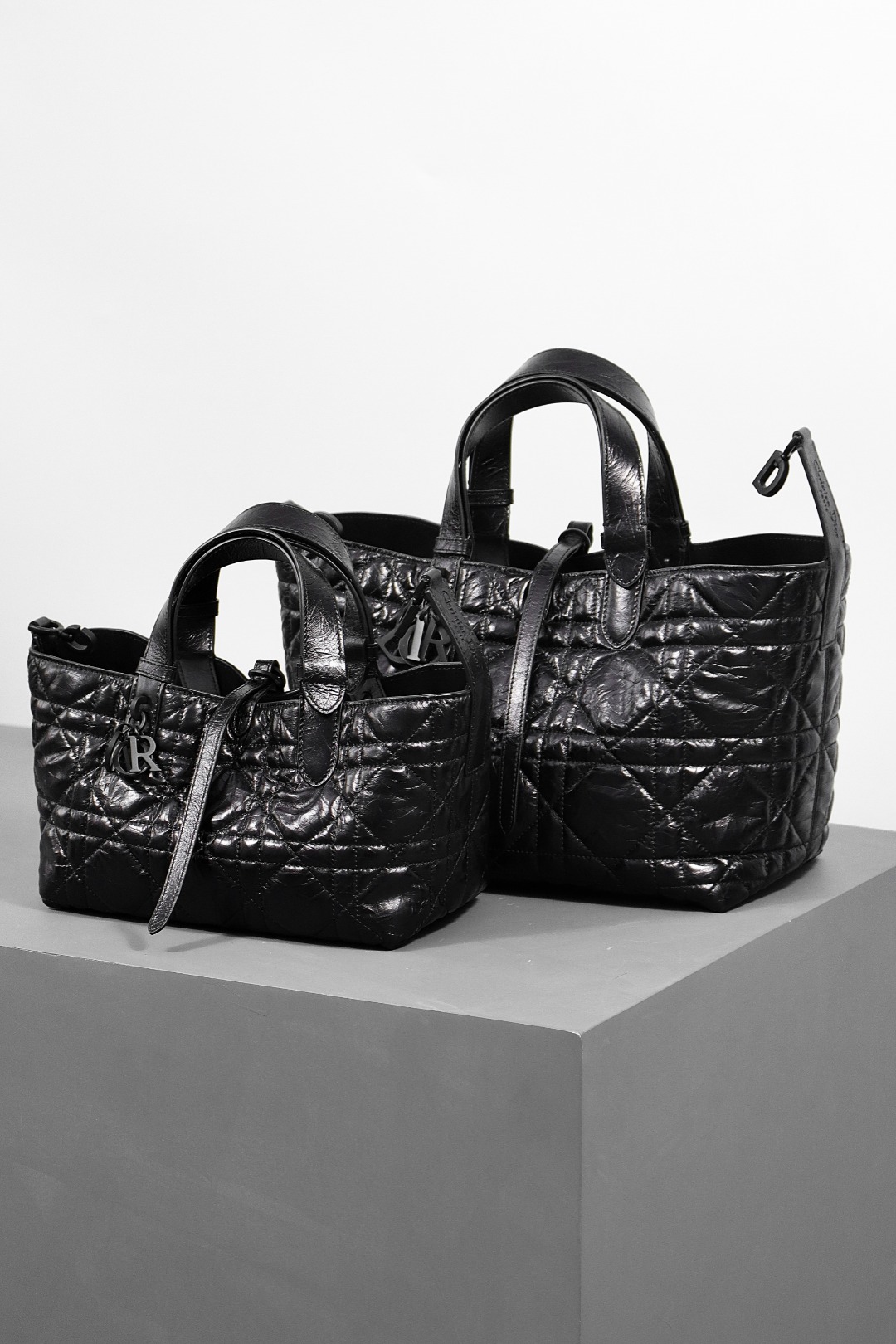 Dior Toujours bag