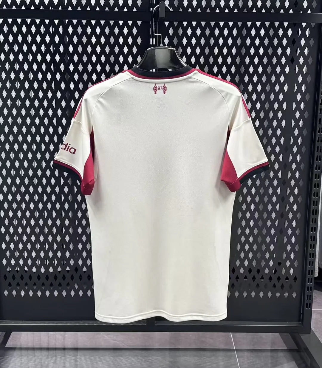 2025/2026 Premier League Liverpool Team Away Football Jersey
