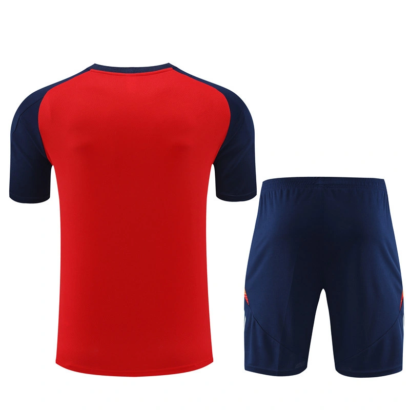 2024-25 Spain Short-sleeved training clothese