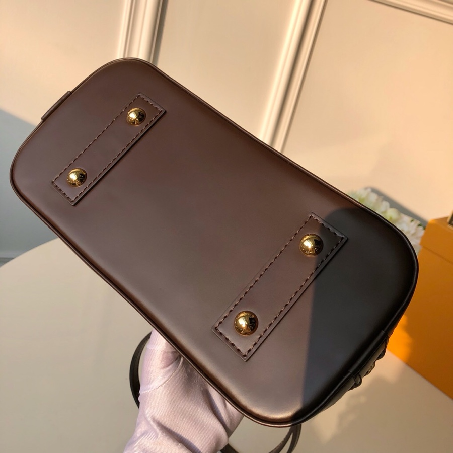 Louis Vuitton Alma Pm Damier Ebene