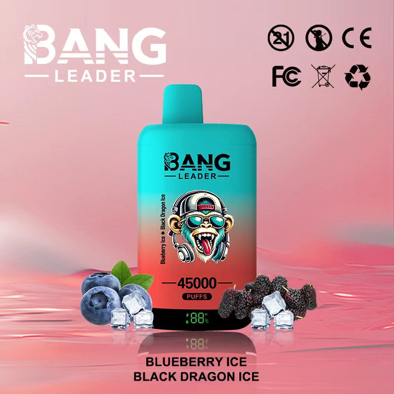 Bang Leader 45K Puffs 2-in-1 Prefilled Vape | Dual Flavor,  Rechargeable