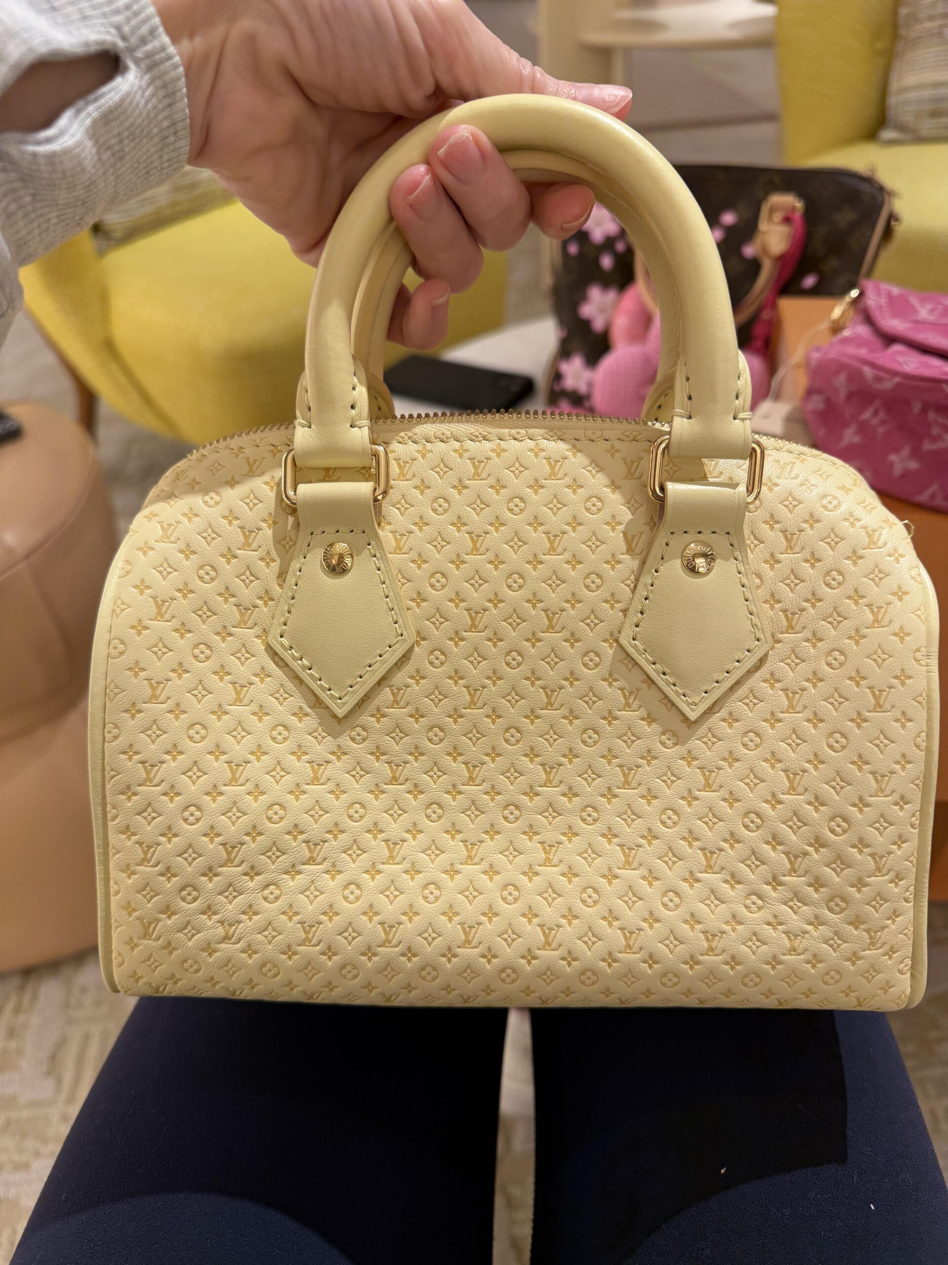 Louis Vuitton Speedy Bandoulière 20 Bag M29494