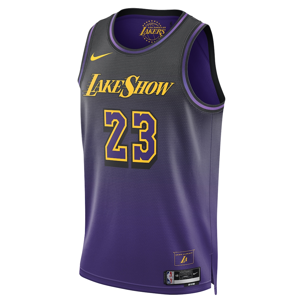 Unisex Los Angeles Lakers LeBron James  Purple 2024/25 Swingman Jersey - City Edition