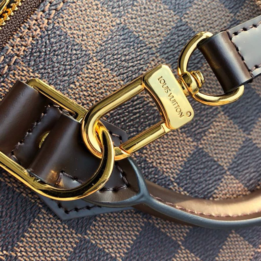 Louis Vuitton Alma Pm Damier Ebene