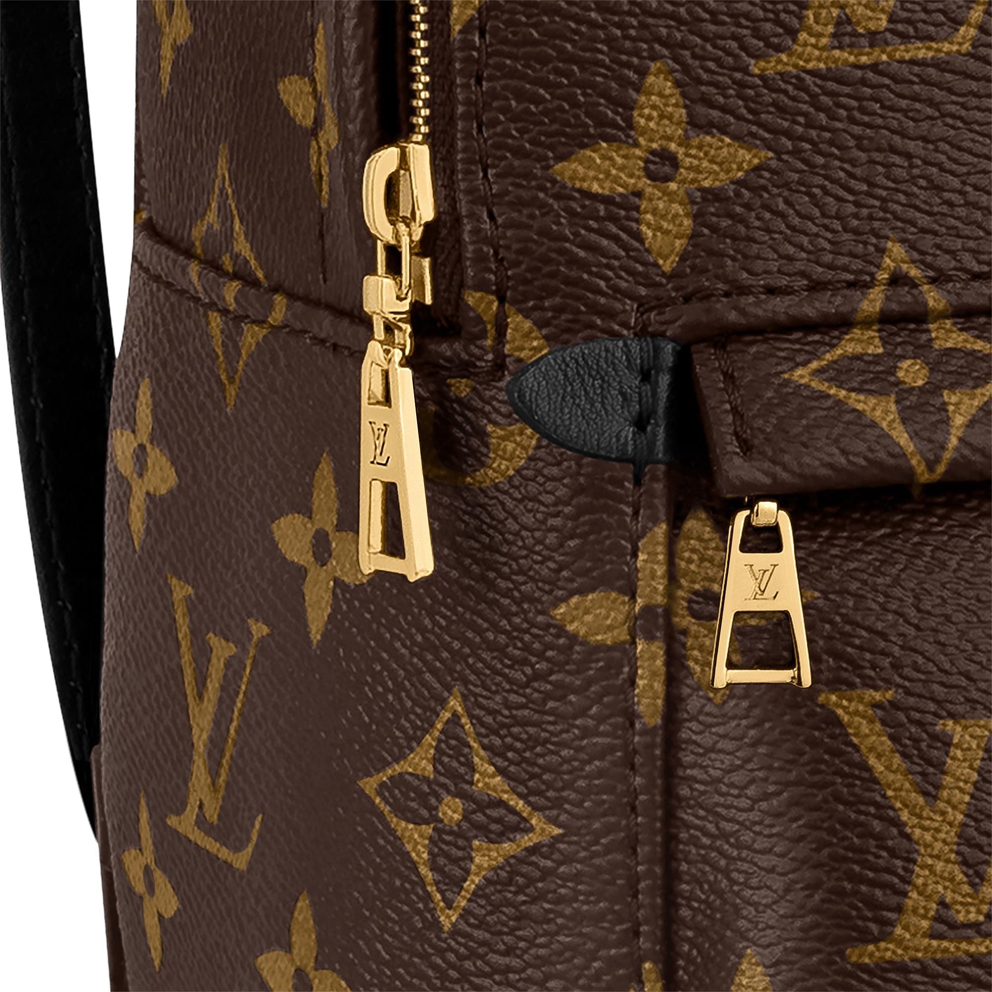 Louis Vuitton Palm Springs Backpack Mini Monogram Canvas – 17cm/6.7in