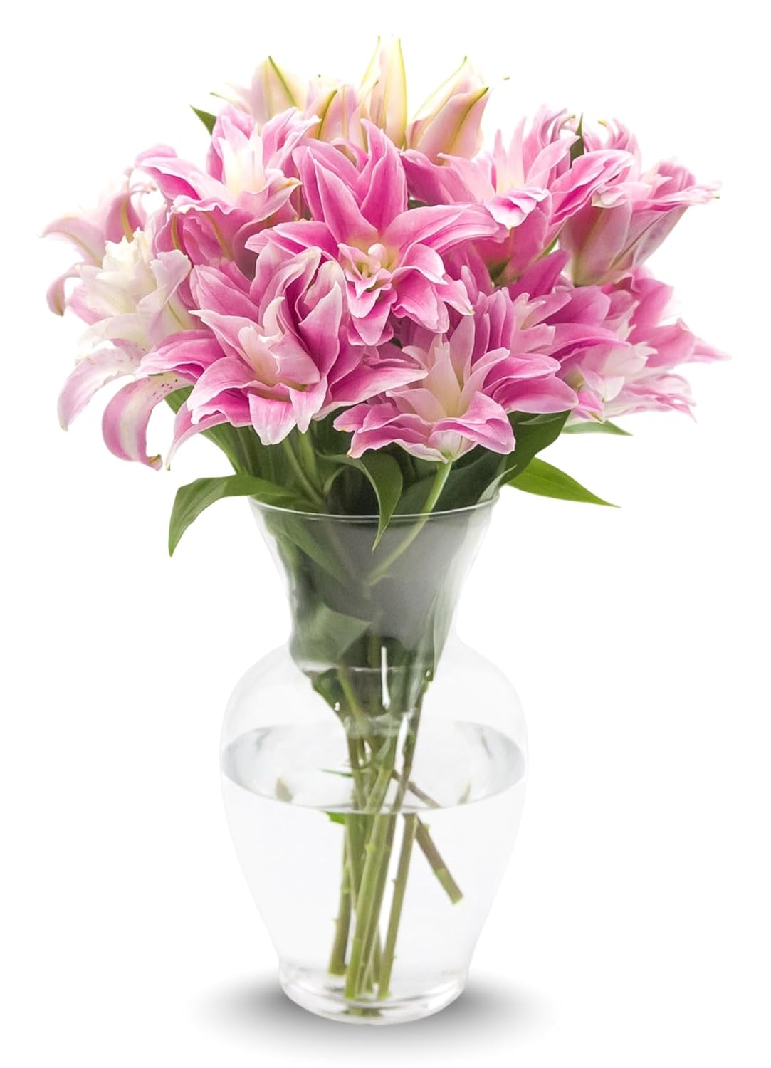 STARGAZER BARN 10 Stem Rose Lily Bouquet (Vase Included) - Hand-Tied in the USA - Fresh Flower Delivery for Birthday, Anniversary, Sympathy, Home Decor, Wedding, Easter