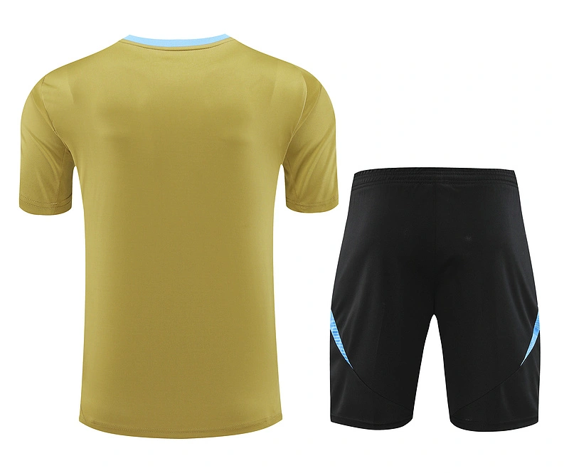 2024-25 Argentina Short-sleeved training clothese