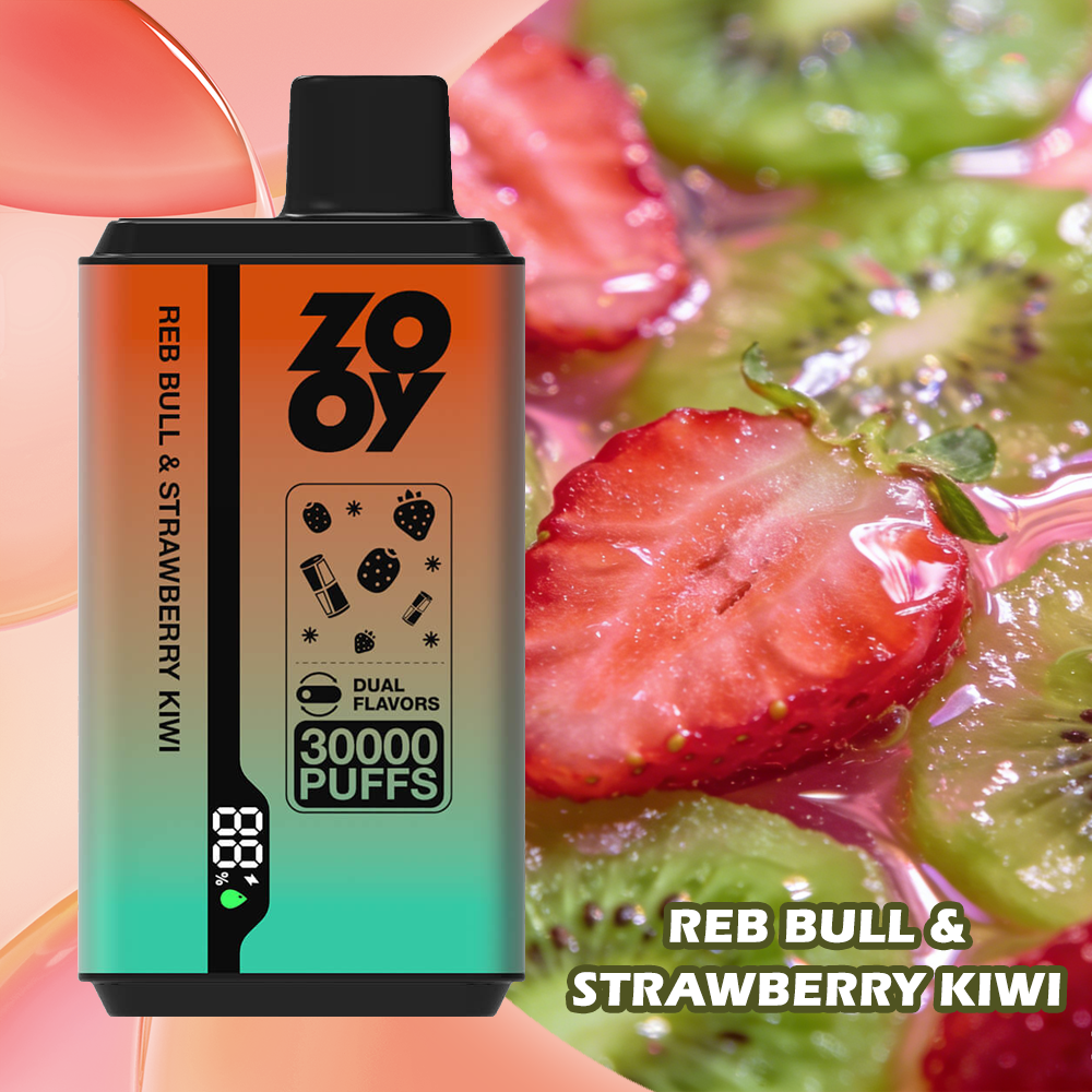 ZOOY Twins 30000 PUFF