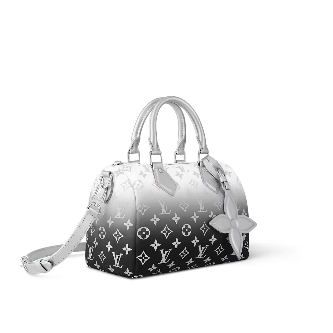Louis Vuitton Speedy Bandouliere 25 Frost Gardiant Silver 25cm M11848