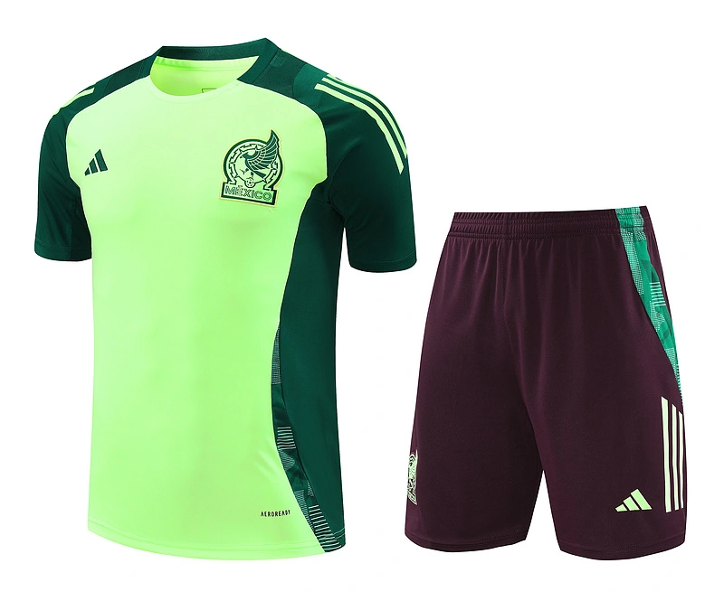 2024-25 Mexico Short-sleeved training clothese