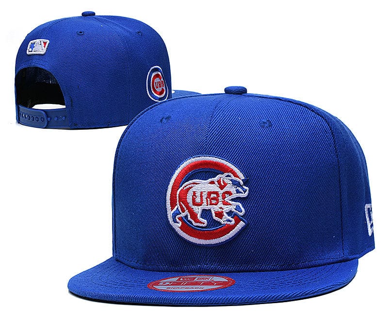 Chicago Cubs hat