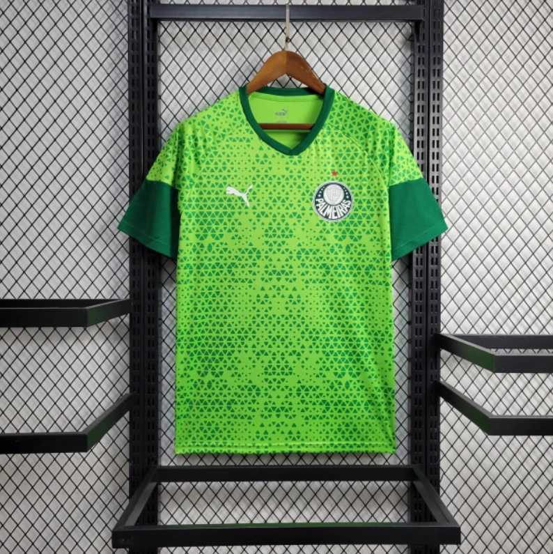 2024-25 Palmeiras Training football jersey
