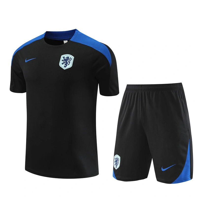 2024-25 Netherlands Short-sleeved training clothese